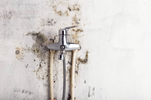 Best Mold Cleaning Services  in Rockaway Beach, OR