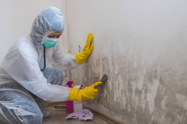 Water Damage Restoration in Rockaway Beach, OR